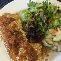Sesame encrusted tofu with orange, ginger, and soy glaze at Whiptail Grill in Springdale