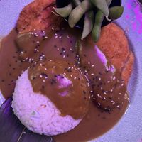 Vegan Katsu Curry  at Banana Tree in Bath