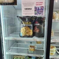  at Vegan Wolf  in Vienna