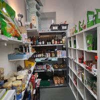  at Vegan Wolf  in Vienna