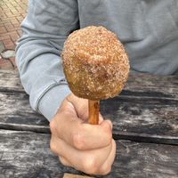   at Erik's Fish & Chips in Queenstown