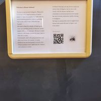  at Fushimi-Inari Hirano Seishoan in Kyoto