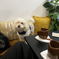   at Natury in Barcelona