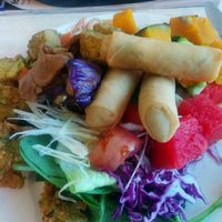 buffet plate at Pepper Tree Veggie Cuisine in Houston