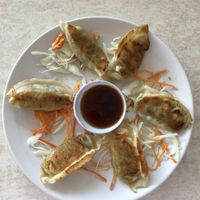 Potstickers with sauce, so good! at Pepper Tree Veggie Cuisine in Houston