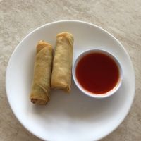 Spring rolls, they come in pairs :) at Pepper Tree Veggie Cuisine in Houston