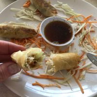 Anatomy of a spring roll :) at Pepper Tree Veggie Cuisine in Houston