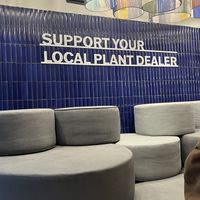   at Mora Mora Colima   in Mexico City