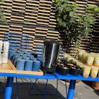  at Mora Mora Colima   in Mexico City