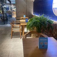  at Mora Mora Colima   in Mexico City