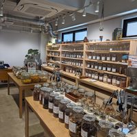  at The Kind  in Kyoto