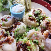 Two different dumplings mixed (half with vegan meat and half with mushrooms) at Kemuri in Reykjavik