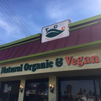 TGC at The Grain Cafe in Los Angeles