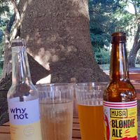 Why Not drink is VEGAN! at Jardim Natural Food in Sao Miguel