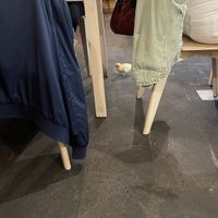 Kuikentje🐥  at Jardim Natural Food in Sao Miguel