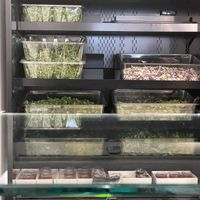 Salad ingredients    at Rooted3 in Bethesda