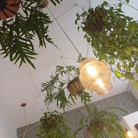  at Umami Good Food - La Laguna in Tenerife