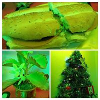  at Tortas TiM in Mexico City