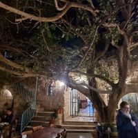  at Haret Jdoudna - مطعم حارة جدودنا in Madaba