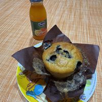 Muffin ai mirtilli  at Radici Bakery in Santangelo In Villa-giglio