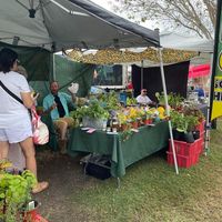 Organic fruit and veggies at Lake Placid Farmer‘s Market in Lake Placid