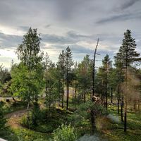 And the view at Sky Kitchen & View  in Rovaniemi