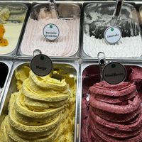 Vegan flavors labeled with green dots  at Anita Gelato - Condado in San Juan