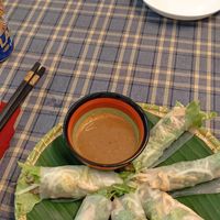 Spring rolls for me at Fami's Vegetarian Food in Hoi An