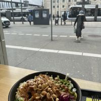   at Immergrün in Ulm