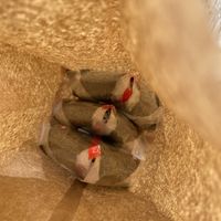 I got mine to go   at Sunny Blue in Santa Monica