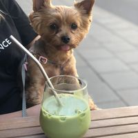   at KIRAS - PC Europa in Vilnius