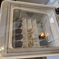  at Julietta Pastry and Lab in Rome