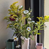  at Julietta Pastry and Lab in Rome