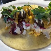 Falafel Pita  at Grossman's Noshery & Bar in Santa Rosa