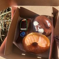  at Voodoo Doughnut in Dallas