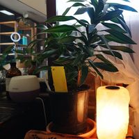  at Hair & Heart in Warnbro