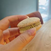 pistachio macaroon  at Olivka in Almaty