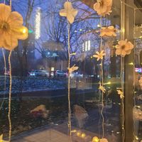 So cosy! And there was even a cat! at Olivka in Almaty