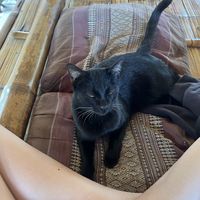   at Ja-Ey Cafe in Pai