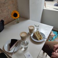 Cheesecake Blaubeer und Torte Matcha-Mango-Kokos mit Latte Macchiato at Plants & Flours in Berlin