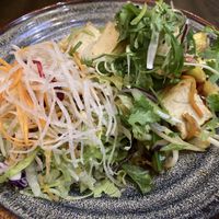 Tofu and salad  at Saigon in Timmendorfer Strand