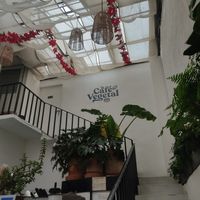 Interior at Café Vegetal - Coyoacán in Mexico City