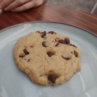 chispas cookie at Café Vegetal - Coyoacán in Mexico City