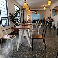 Interior at Café Vegetal - Coyoacán in Mexico City