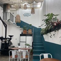   at Café Vegetal - Coyoacán in Mexico City