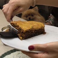 Vegan Moussaka  at SOYBIRD - Vegan Cooking Experience in Athens