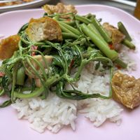 Morning glory with tofu  at Lee Jae Veg in Bangkok