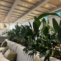   at Alchemy Tokyo -Azabudai Hills - アルケミー in Tokyo