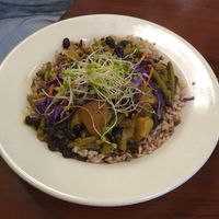 Green Bean Curry over Wild Rice Blend at Portia's Cafe in Columbus