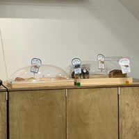   at Rainbow Crust in Busan